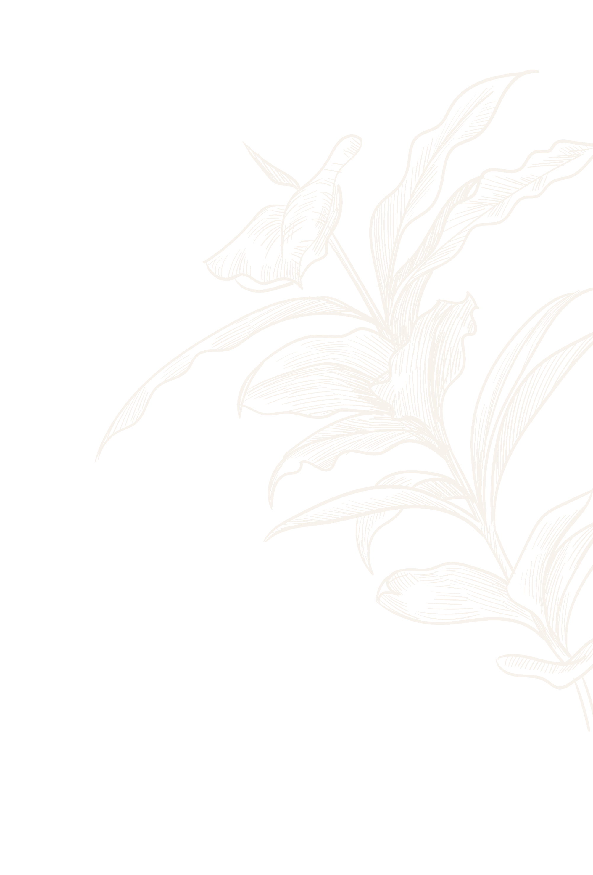 leaf lines